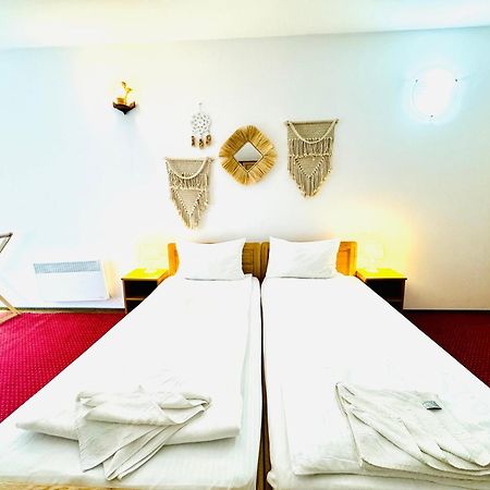Zen Eco Villa Σφίντου Γκεόργκε Εξωτερικό φωτογραφία