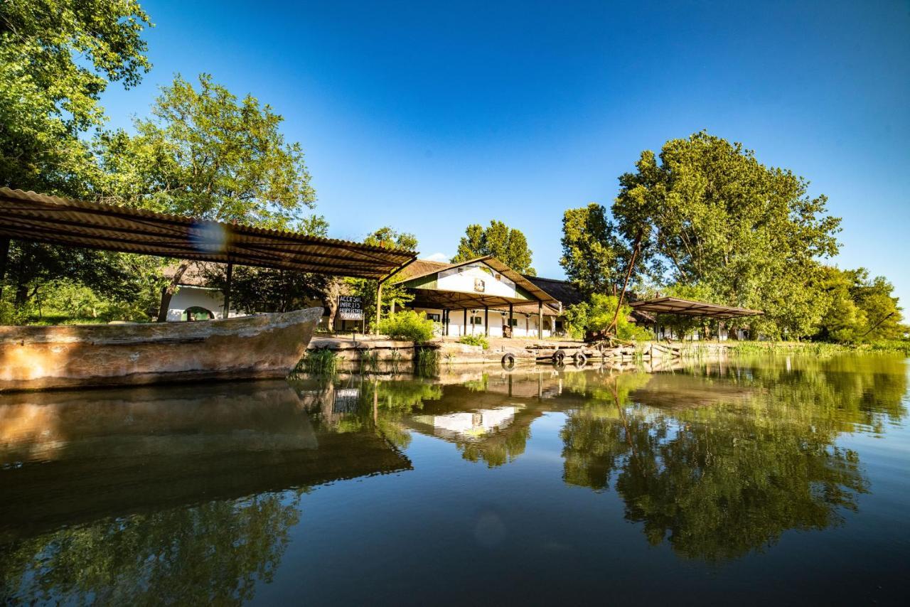 Zen Eco Villa Σφίντου Γκεόργκε Εξωτερικό φωτογραφία