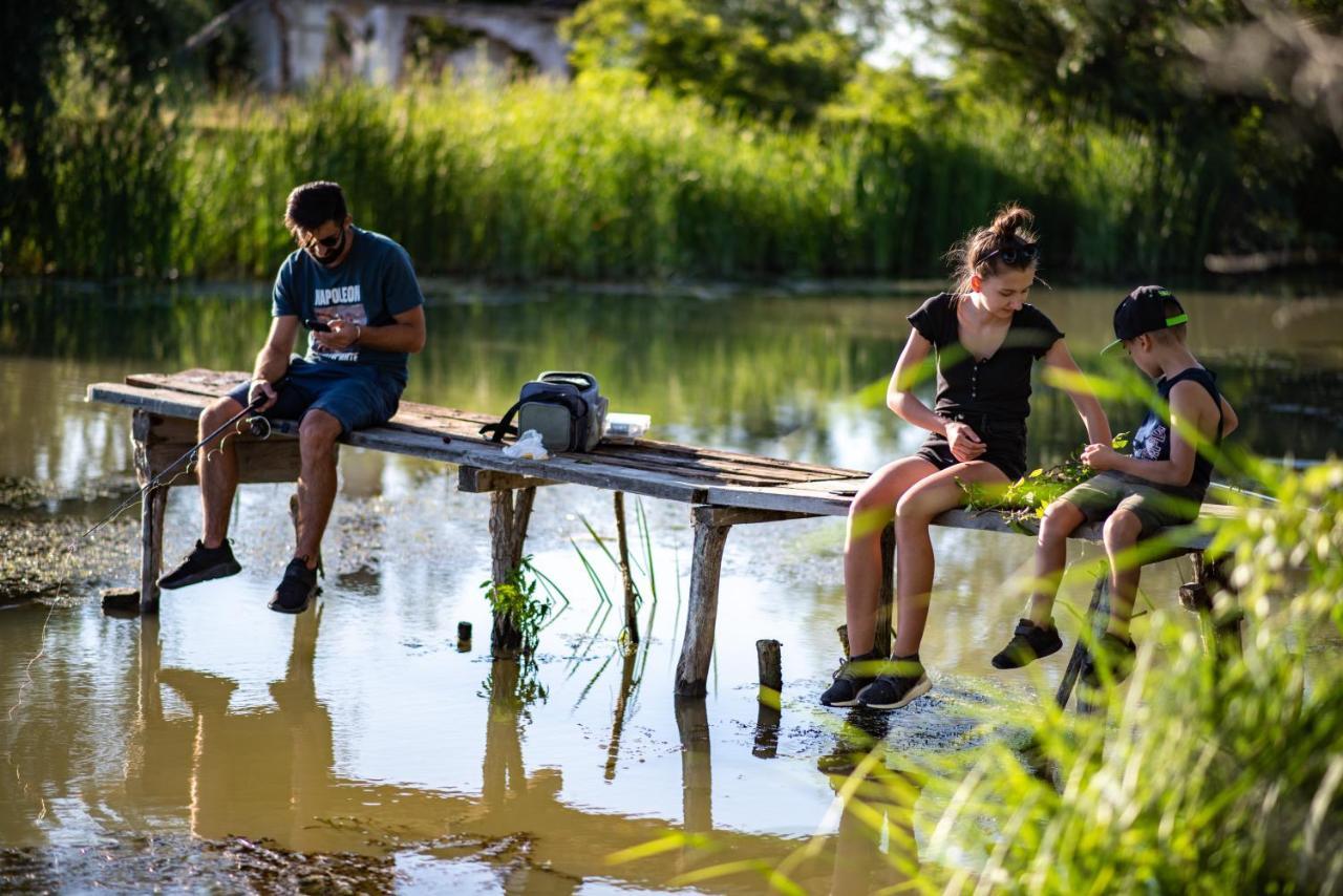 Zen Eco Villa Σφίντου Γκεόργκε Εξωτερικό φωτογραφία