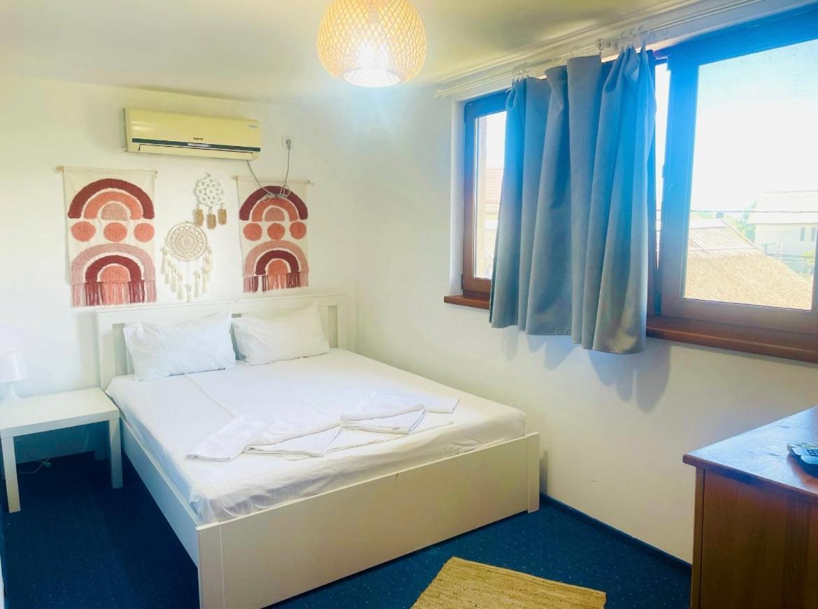 Zen Eco Villa Σφίντου Γκεόργκε Εξωτερικό φωτογραφία