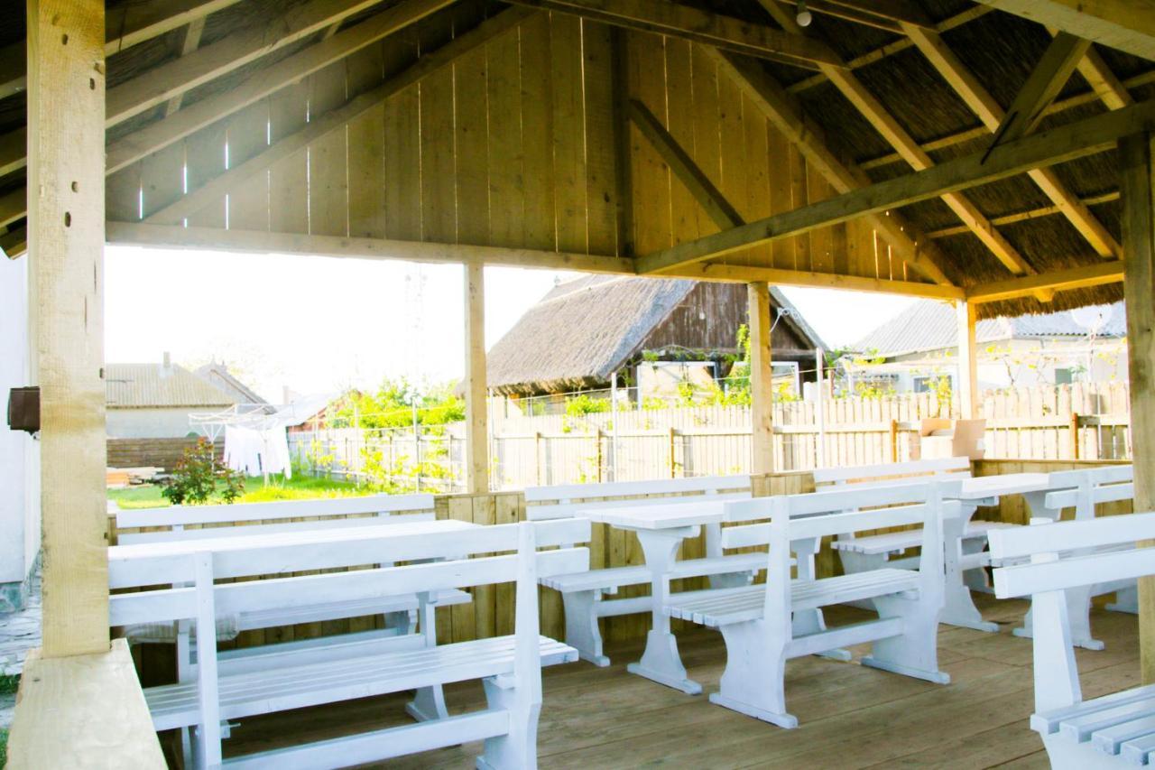 Zen Eco Villa Σφίντου Γκεόργκε Εξωτερικό φωτογραφία