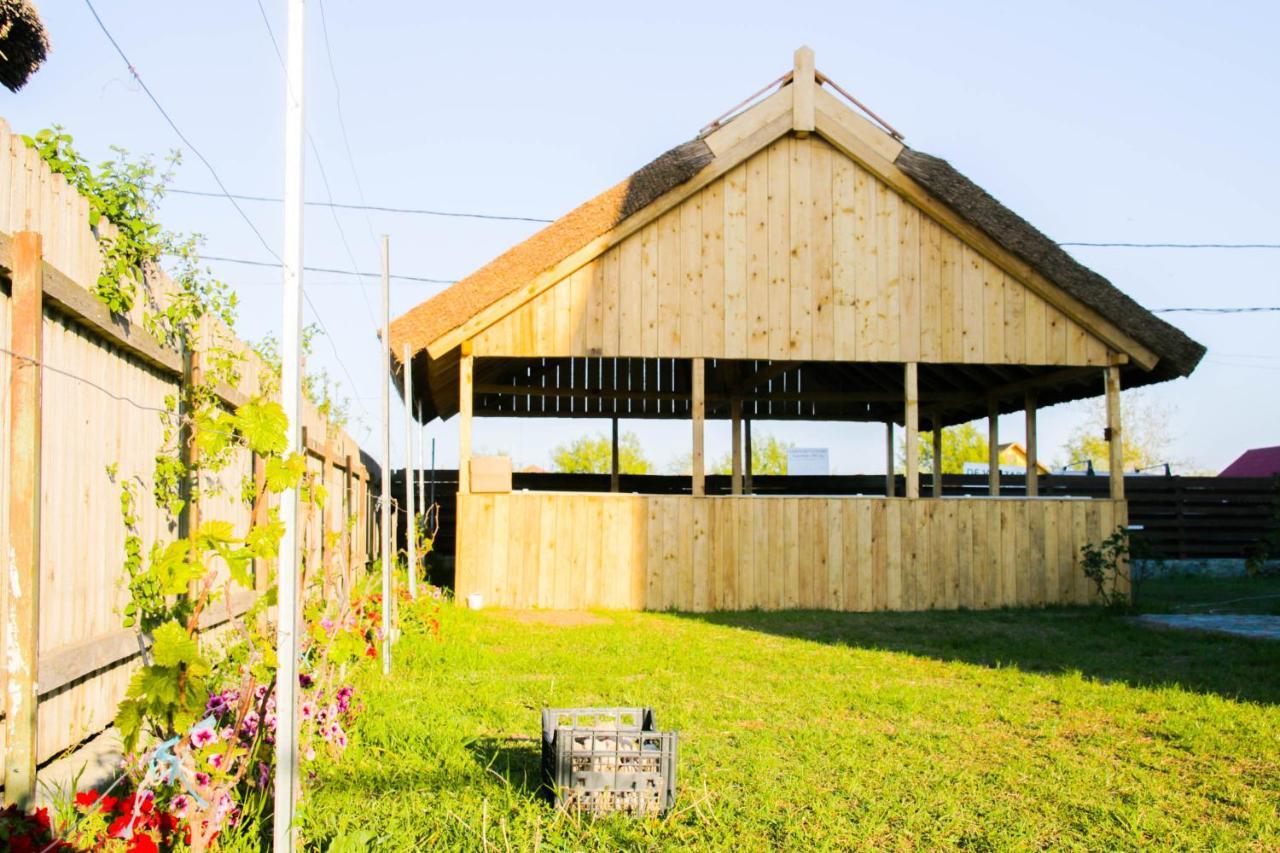 Zen Eco Villa Σφίντου Γκεόργκε Εξωτερικό φωτογραφία